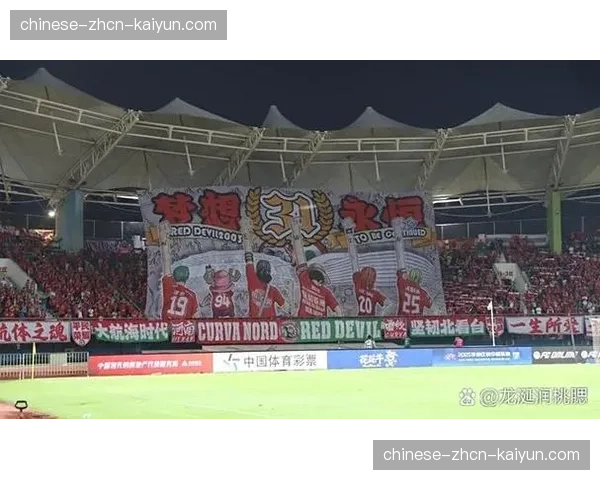 河南航海体育场改造计划引热议，球迷呼吁专业足球场